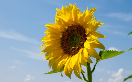 860444 (a): :2560x1600